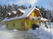 Sončna počitniška hiša pozimi - zimska pravljica