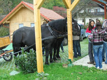 Sončna počitniška hiša: kočija s konji je prišla po izletnike